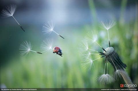 1039-the-hitchhiker-by-thobani-mlambo 1039-the-hitchhiker-by-thobani-mlambo